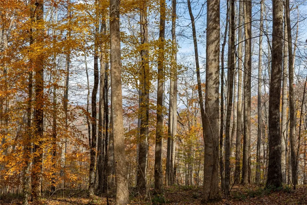 107 Vistawilla Drive Glenville, NC 28736