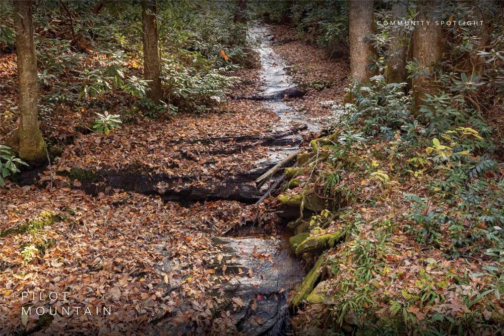 107 Vistawilla Drive Glenville, NC 28736