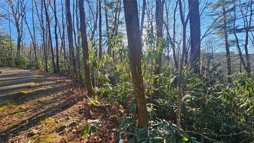 282 Pine Cone Court Sapphire, NC 28774