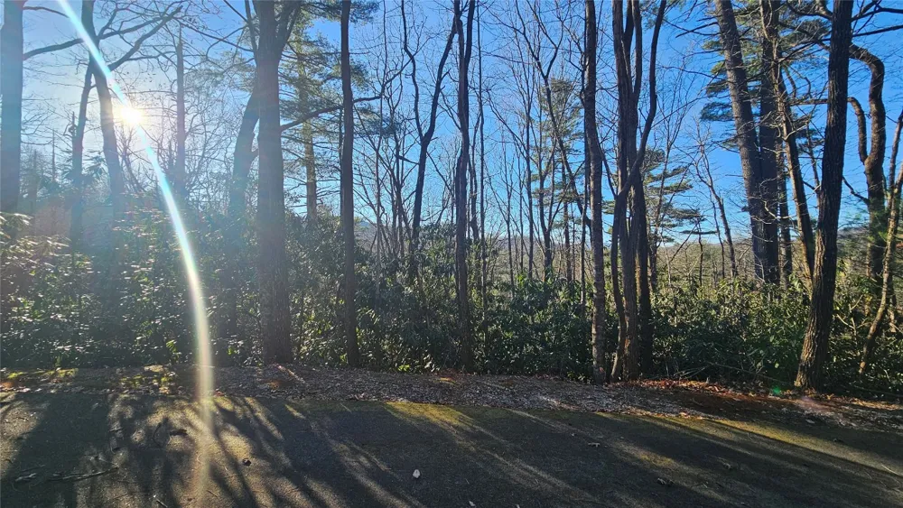 282 Pine Cone Court Sapphire, NC 28774