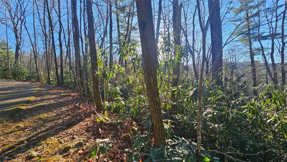 282 Pine Cone Court Sapphire, NC 28774