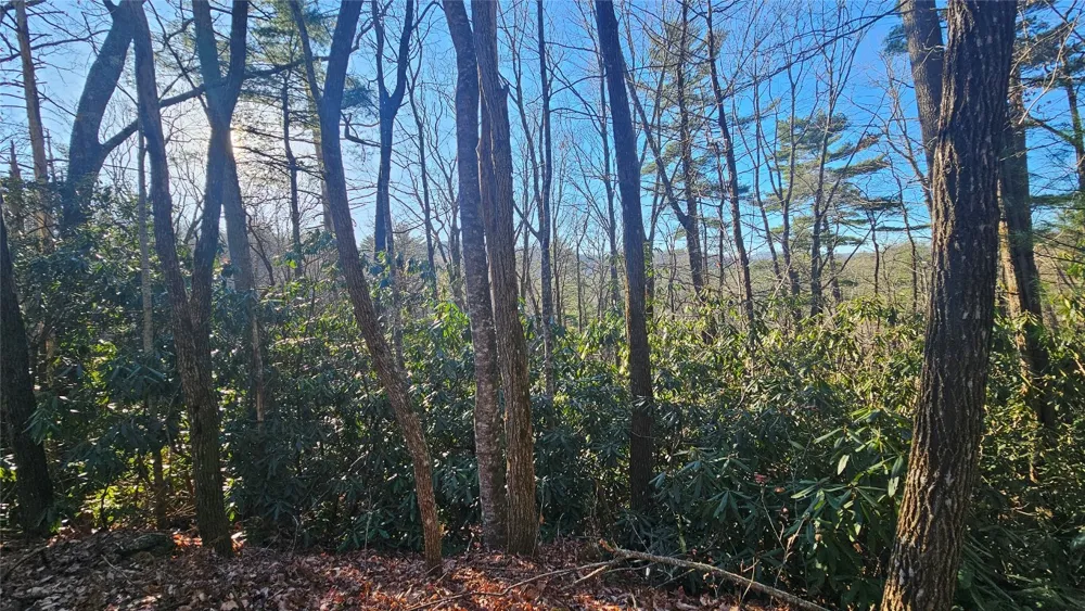 282 Pine Cone Court Sapphire, NC 28774