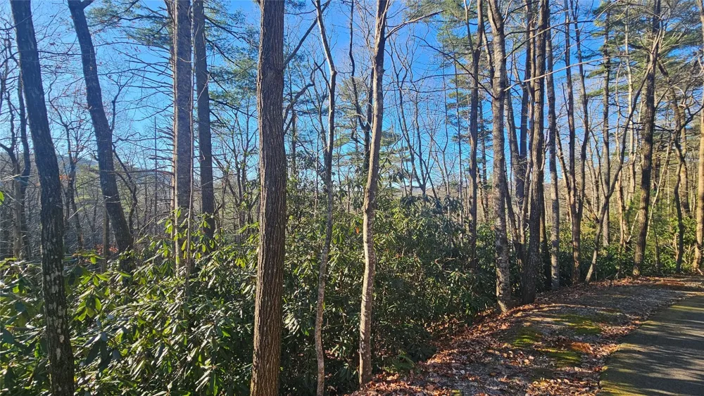 282 Pine Cone Court Sapphire, NC 28774