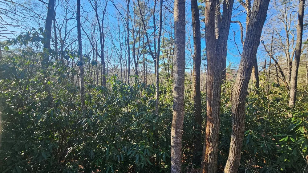 282 Pine Cone Court Sapphire, NC 28774