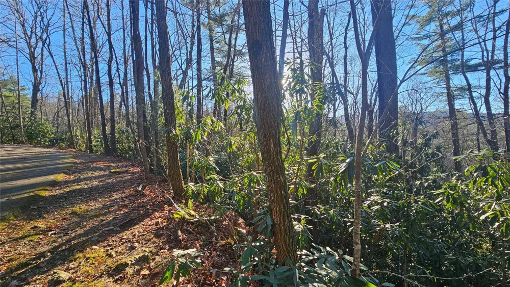 282 Pine Cone Court Sapphire, NC 28774