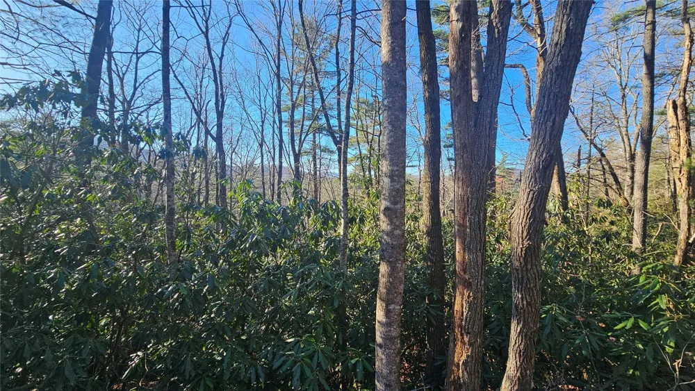 282 Pine Cone Court Sapphire, NC 28774