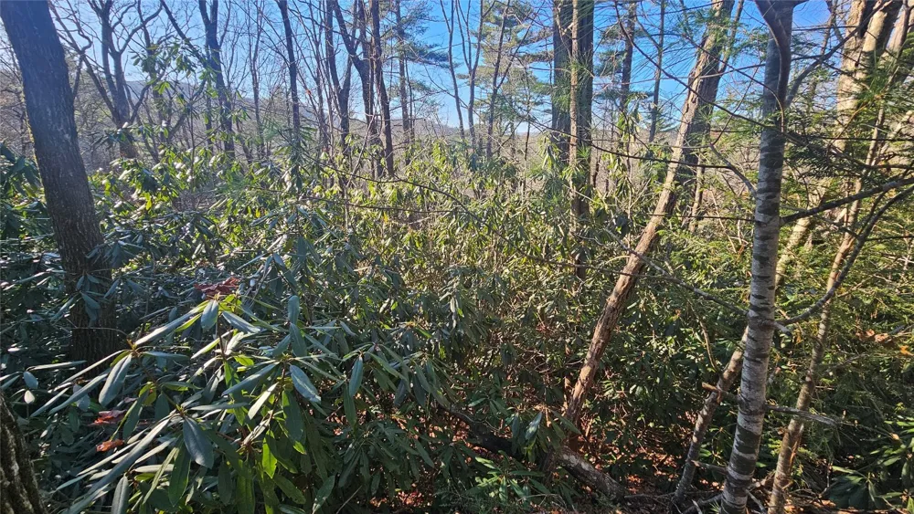 282 Pine Cone Court Sapphire, NC 28774