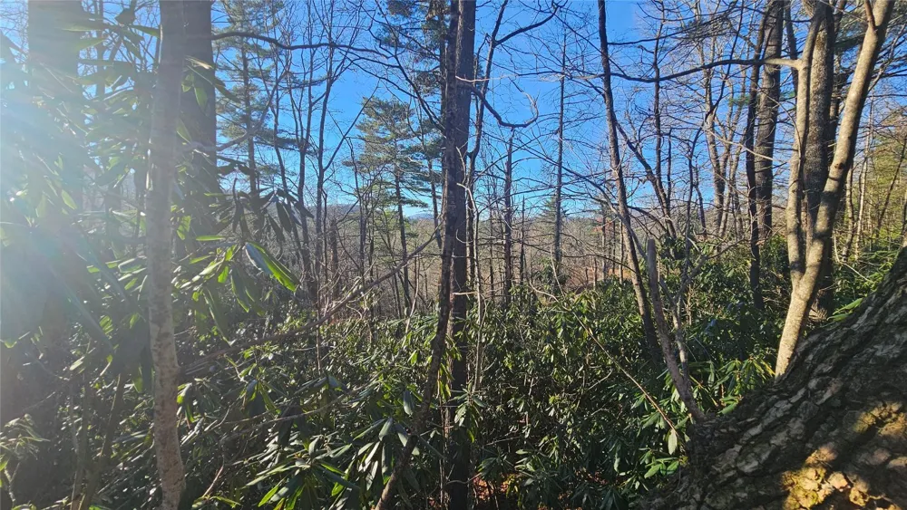 282 Pine Cone Court Sapphire, NC 28774