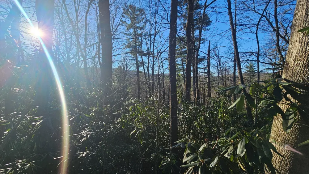 282 Pine Cone Court Sapphire, NC 28774