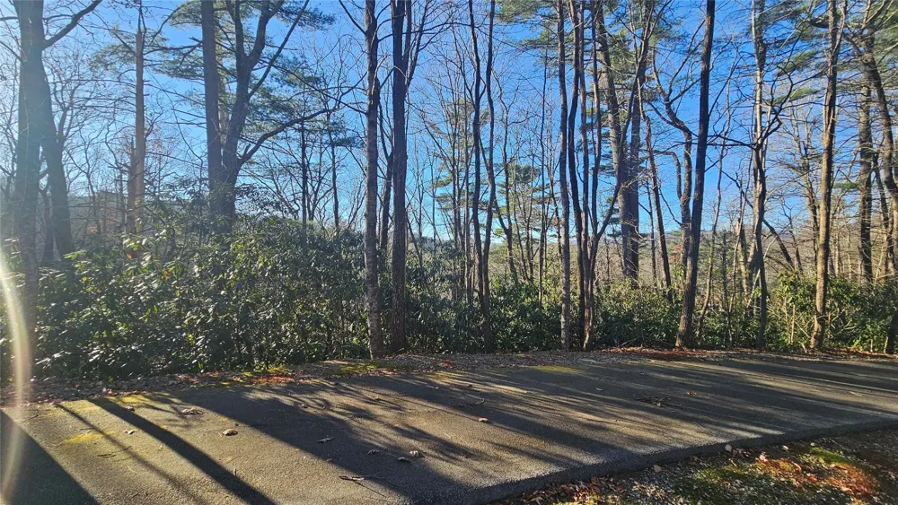 282 Pine Cone Court Sapphire, NC 28774