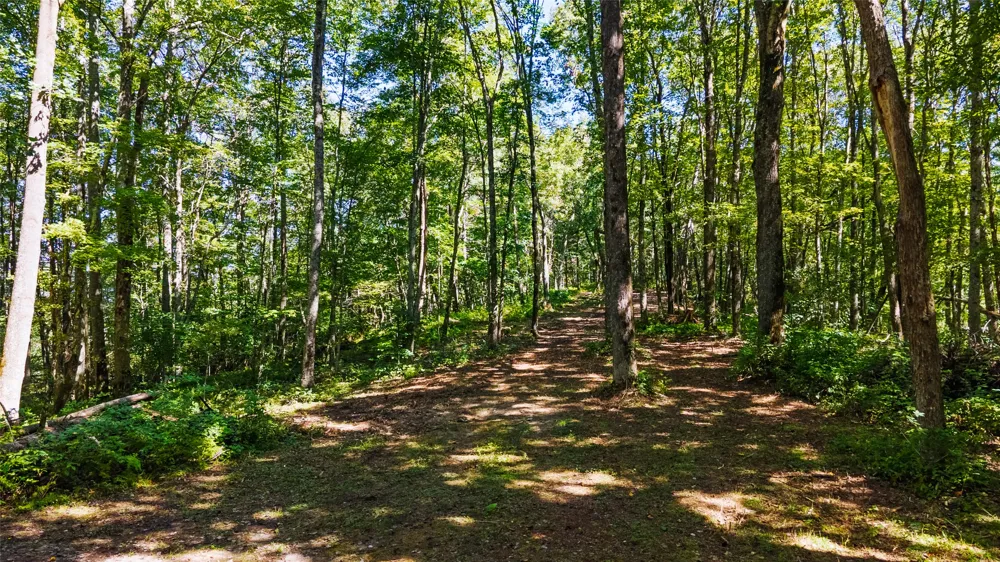 TBD Hwy 107 Glenville, NC 28736