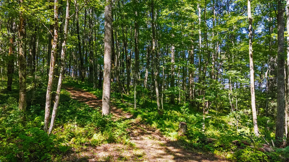 TBD Hwy 107 Glenville, NC 28736