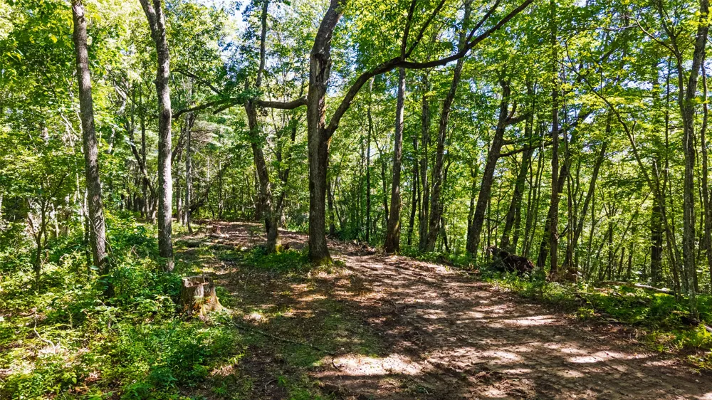 TBD Hwy 107 Glenville, NC 28736