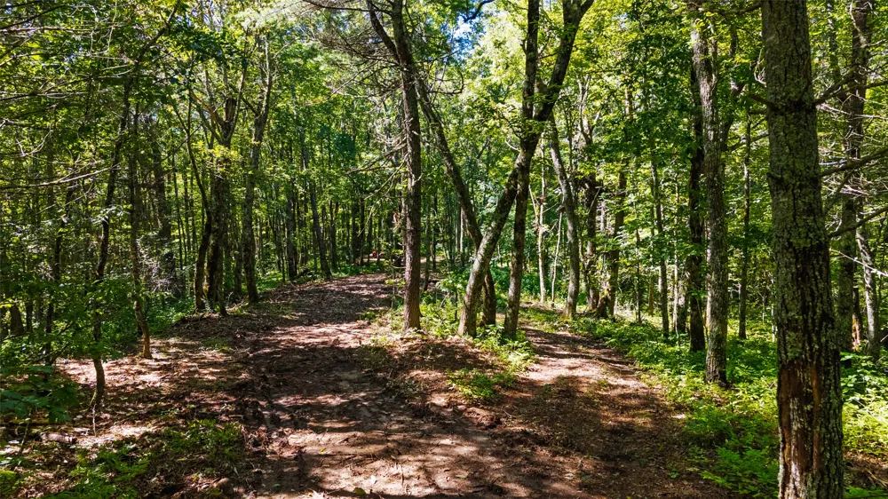 TBD Hwy 107 Glenville, NC 28736