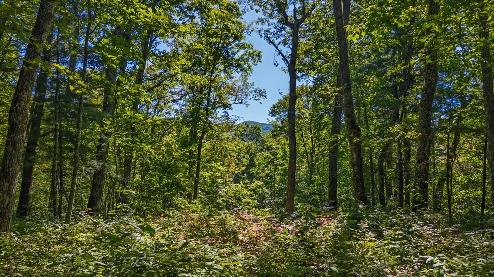 TBD Hwy 107 Glenville, NC 28736