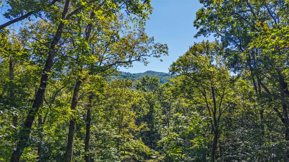 TBD Hwy 107 Glenville, NC 28736