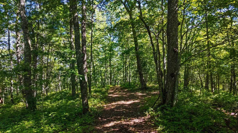 TBD Hwy 107 Glenville, NC 28736