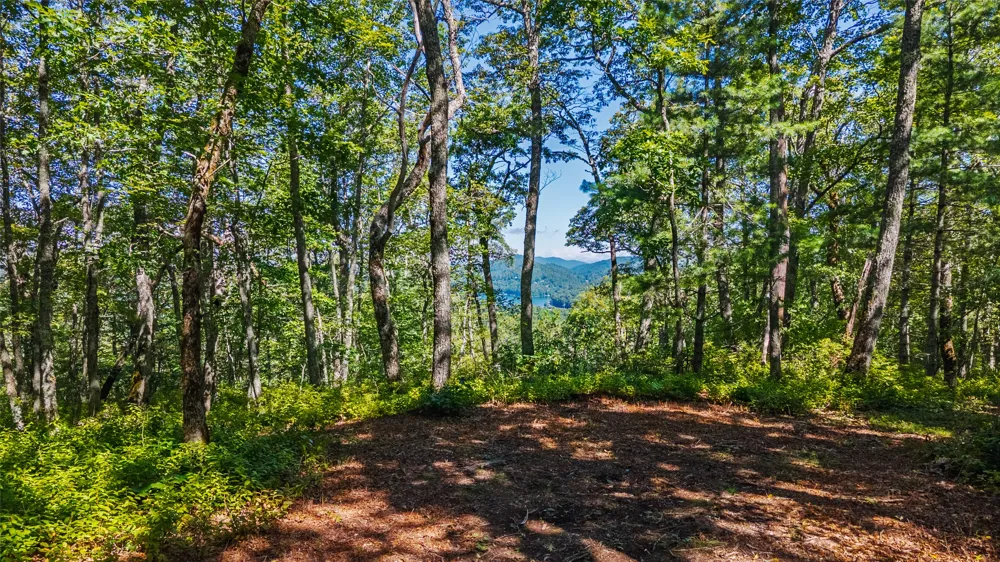 TBD Hwy 107 Glenville, NC 28736