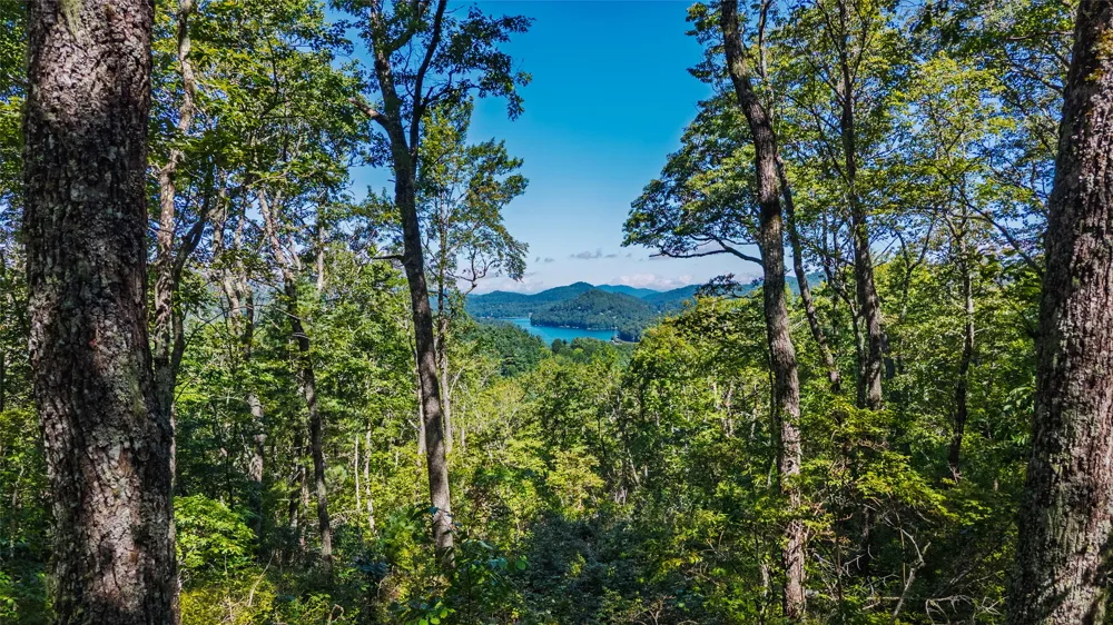 TBD Hwy 107 Glenville, NC 28736