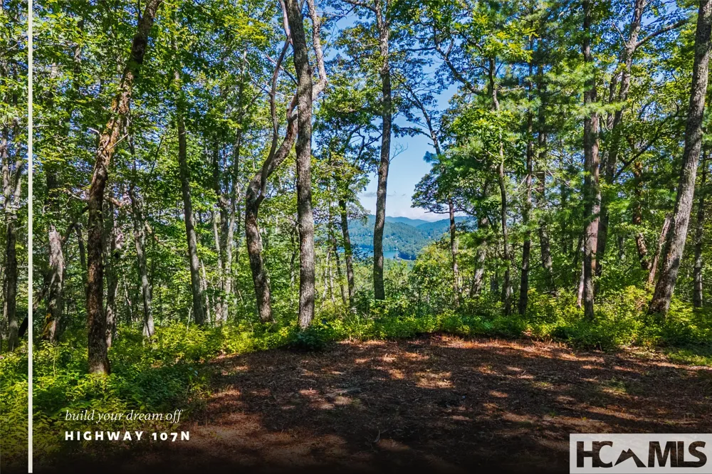TBD Hwy 107 Glenville, NC 28736