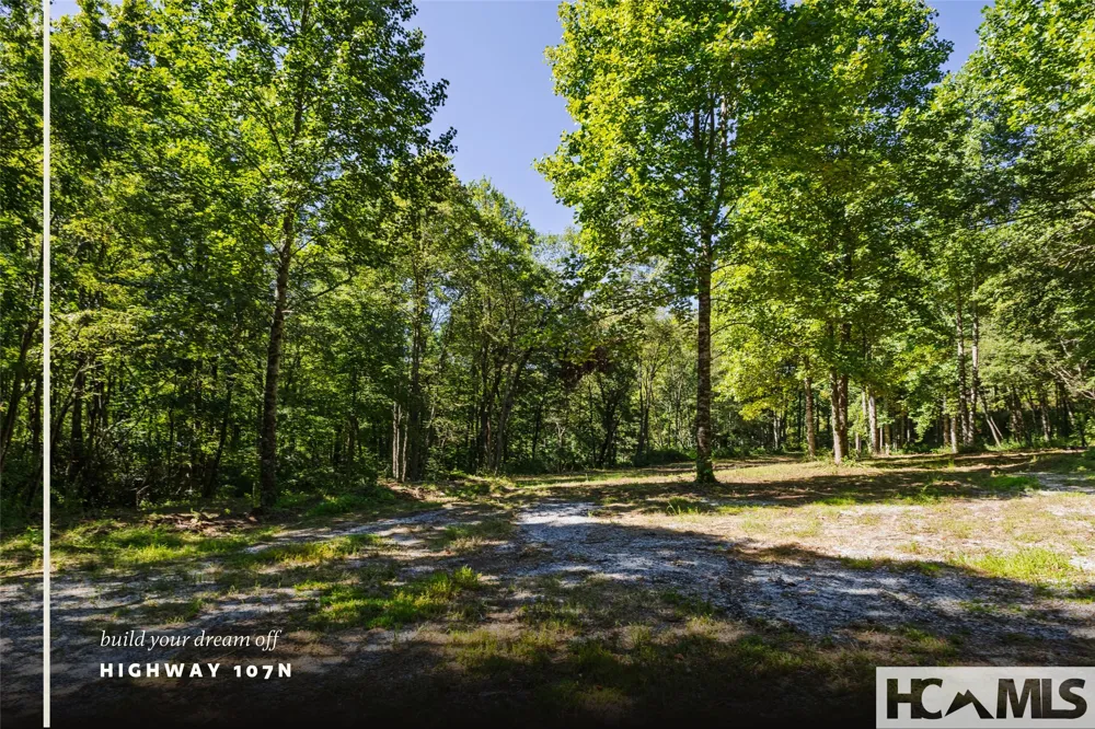 TBD Hwy 107 Glenville, NC 28736