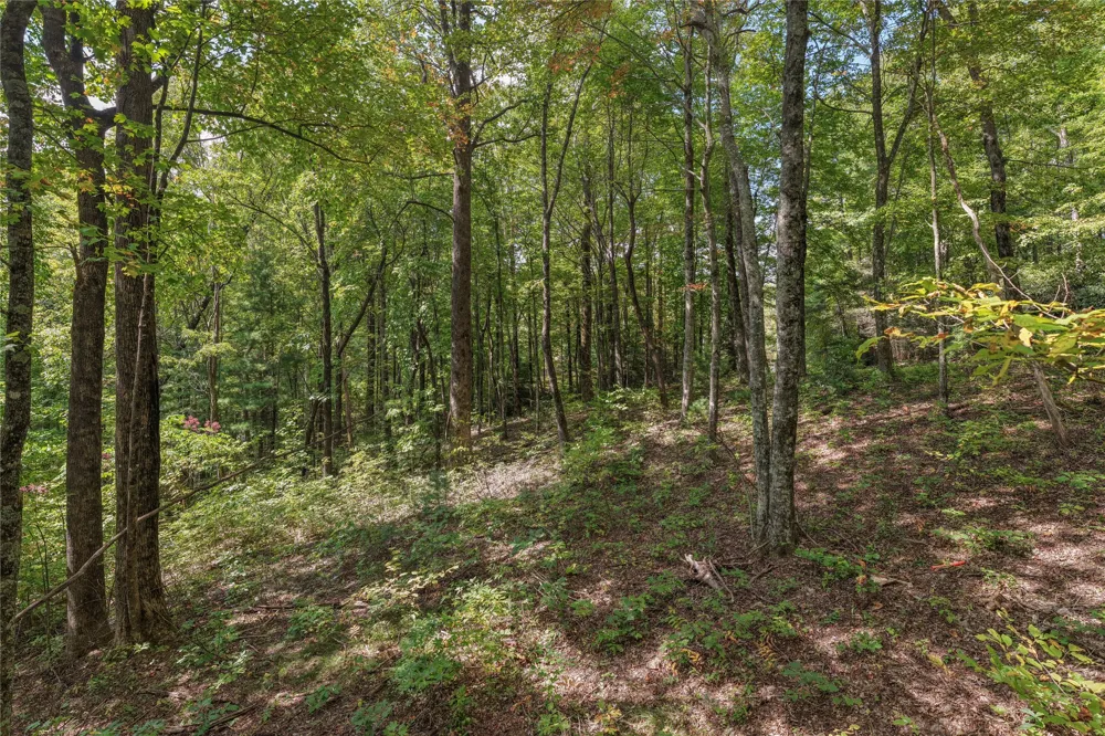 Lot 9R Whitewater Ridge Road Sapphire, NC 28774