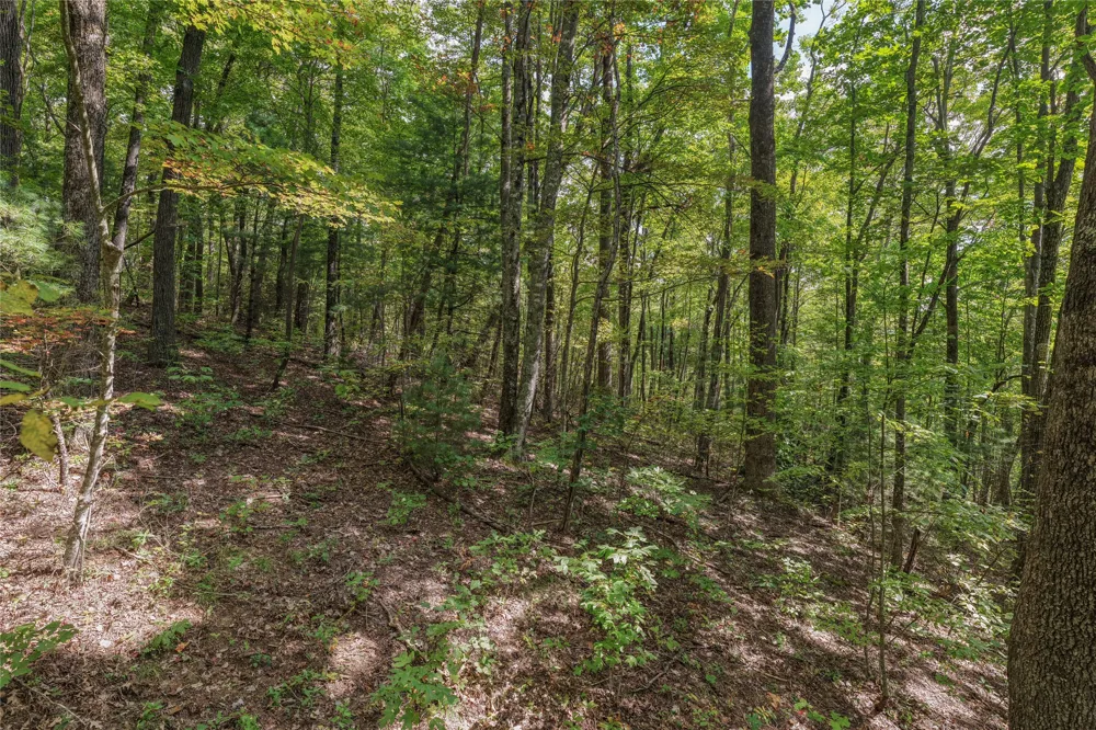 Lot 9R Whitewater Ridge Road Sapphire, NC 28774