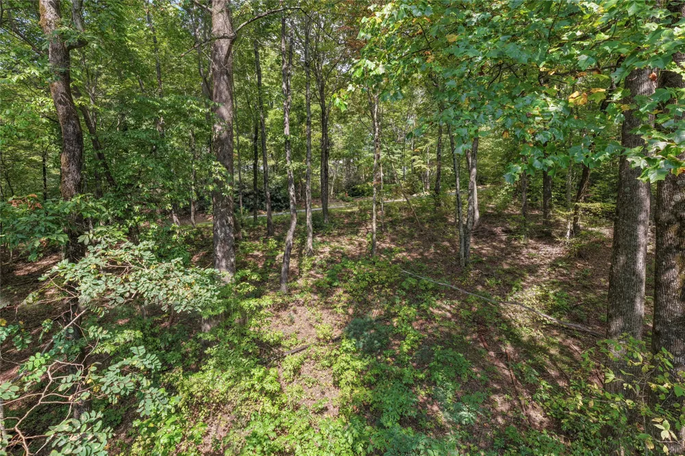 Lot 9R Whitewater Ridge Road Sapphire, NC 28774