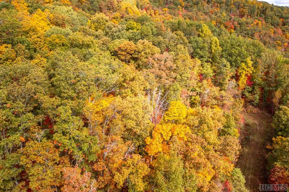35 Lowland Glade Glenville, NC 28736