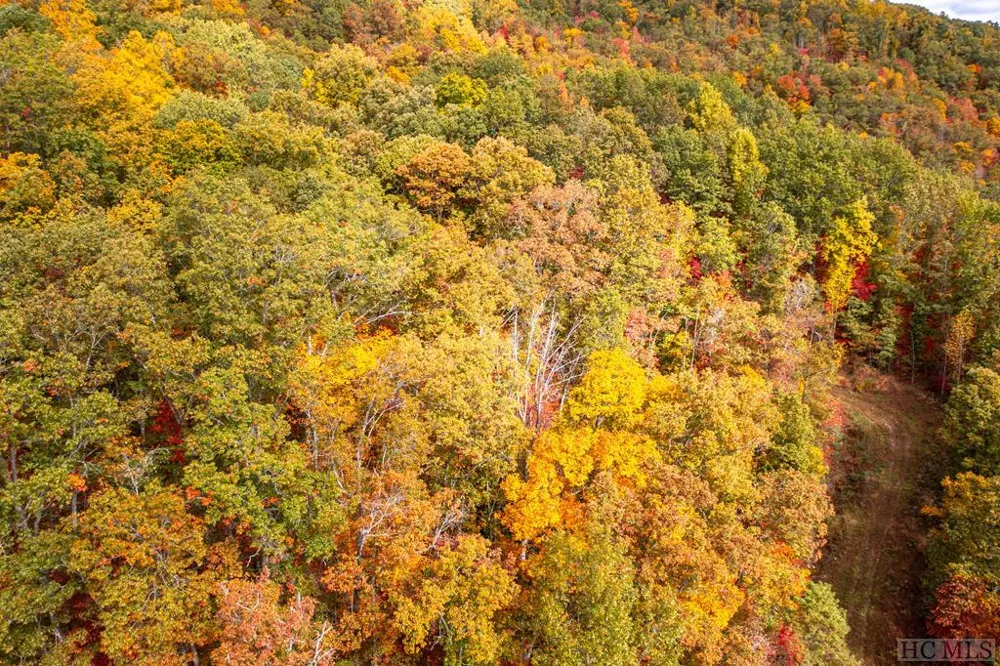 36 Lowland Glade Glenville, NC 28736