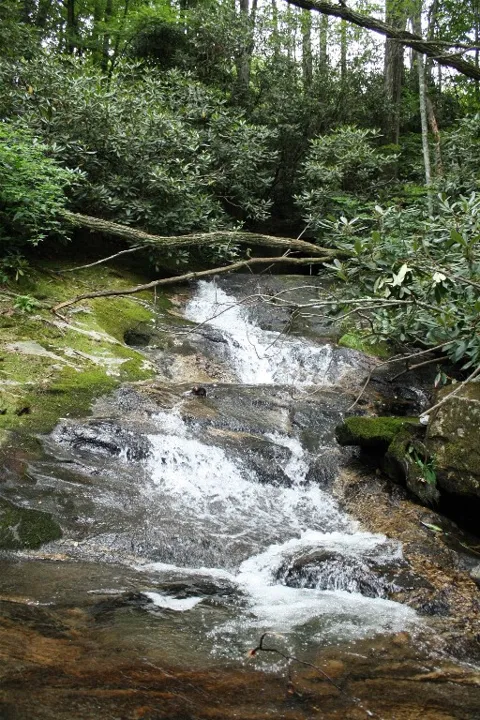 TBD S Walhalla