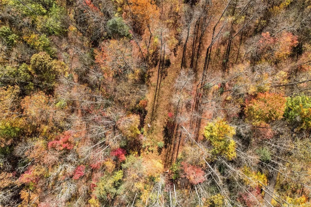 81 Pasture Road Glenville, NC 28736