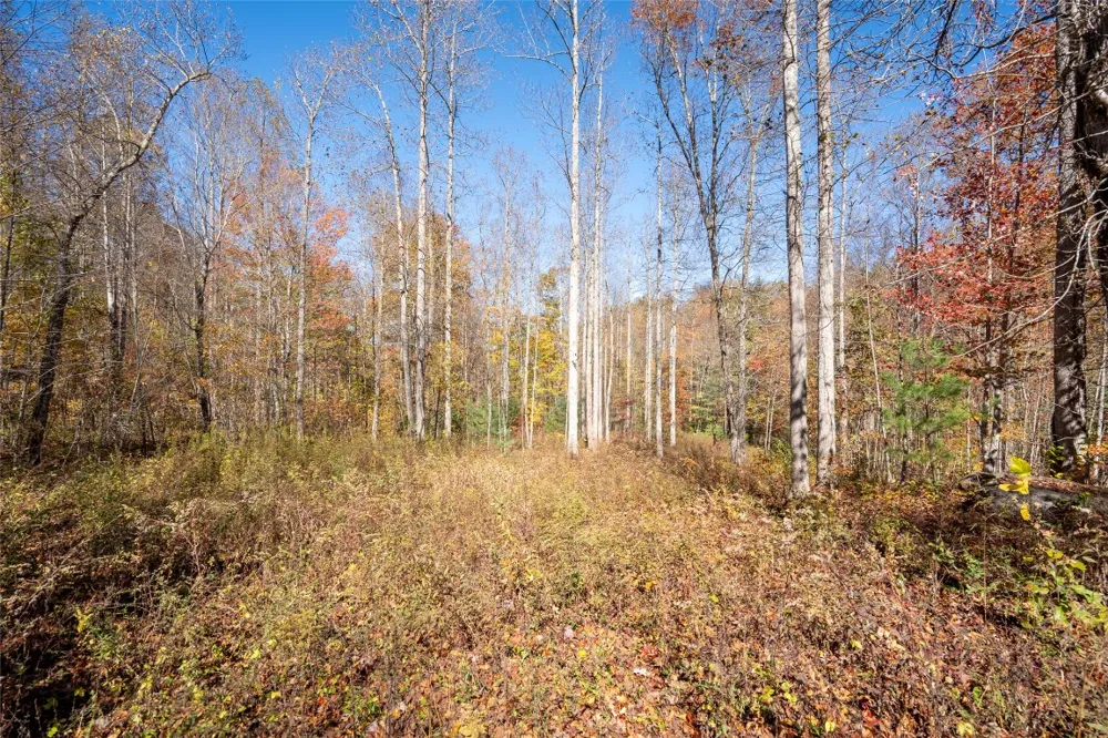 81 Pasture Road Glenville, NC 28736