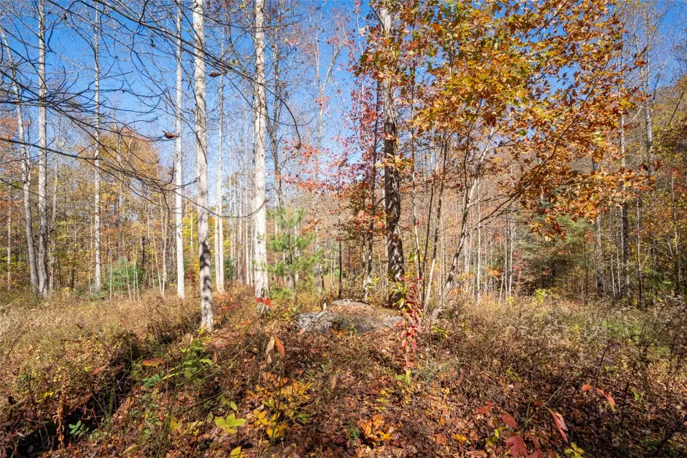 81 Pasture Road Glenville, NC 28736