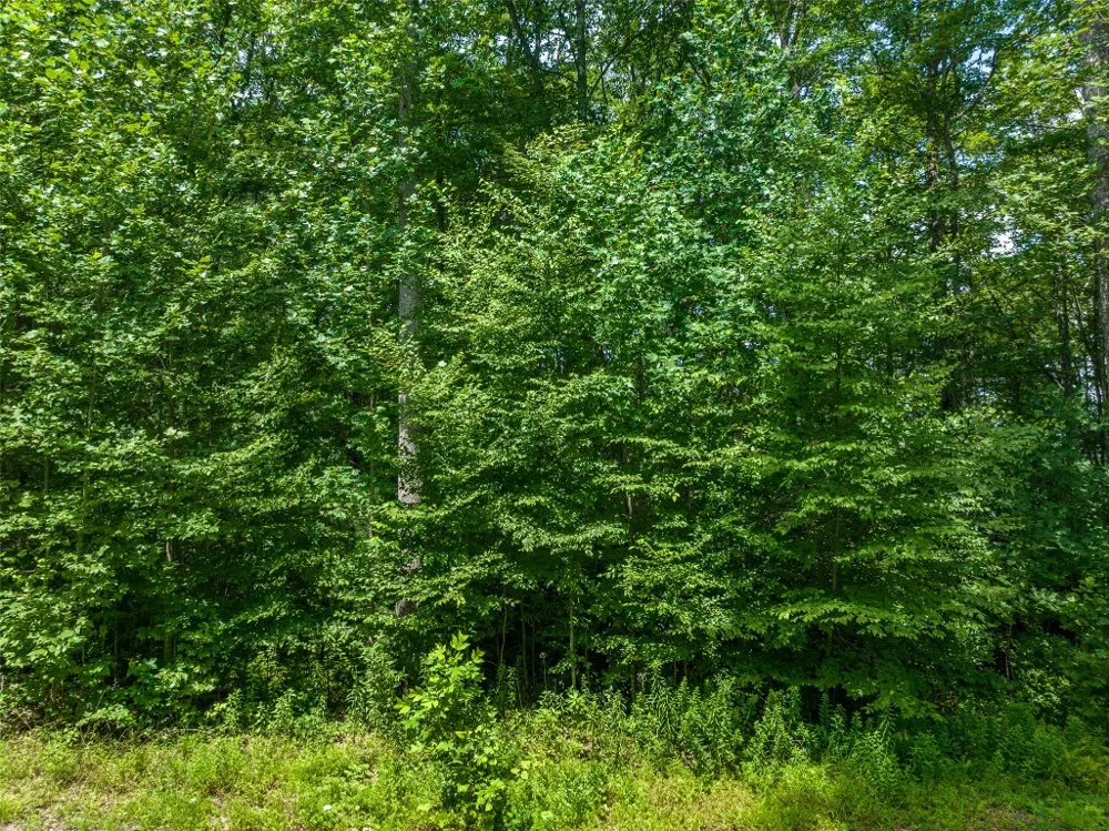13-15 Tall Cedars Glenville, NC 28736