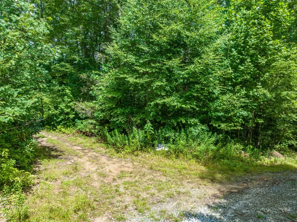 13-15 Tall Cedars Glenville, NC 28736