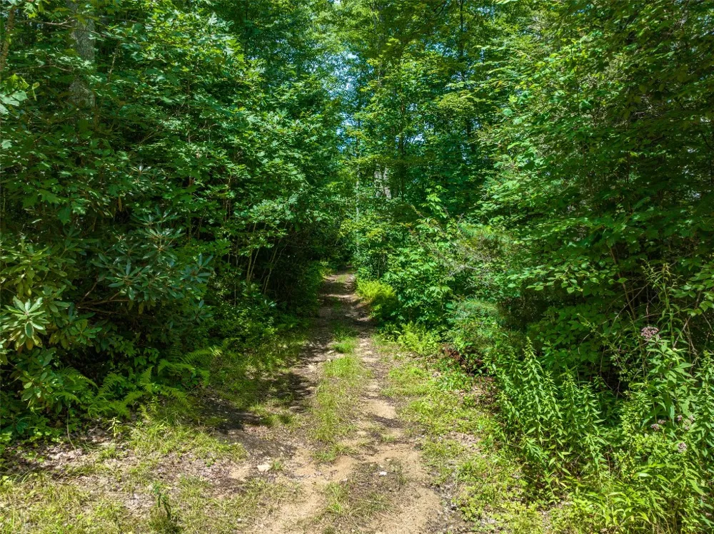13-15 Tall Cedars Glenville, NC 28736