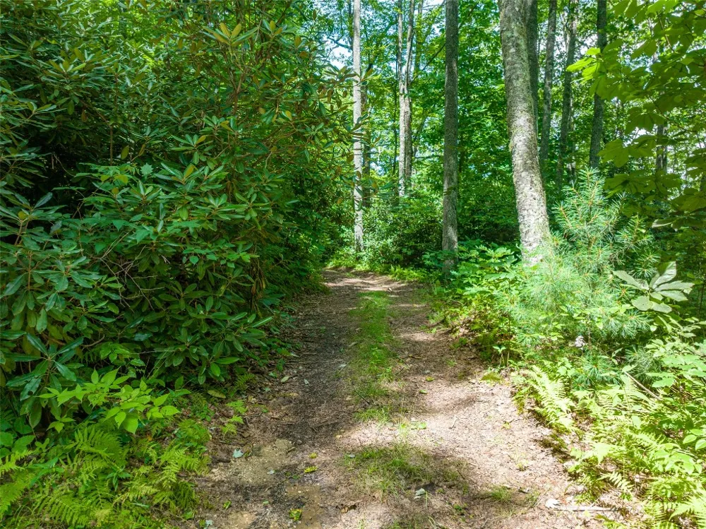 13-15 Tall Cedars Glenville, NC 28736