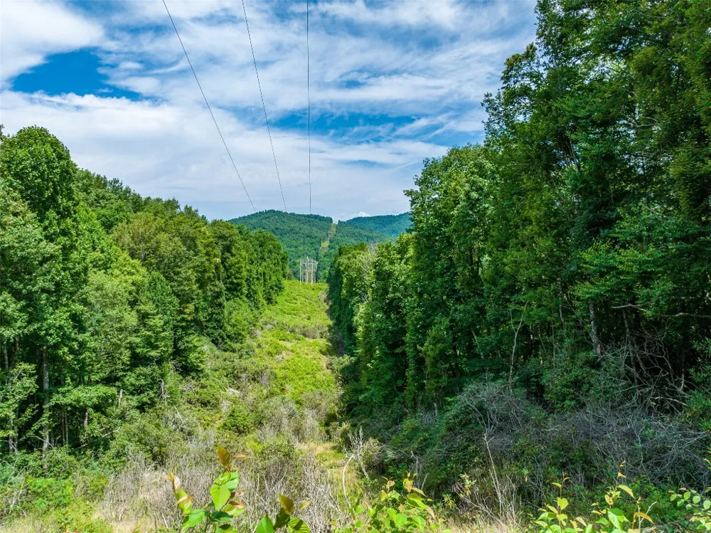 13-15 Tall Cedars Glenville, NC 28736