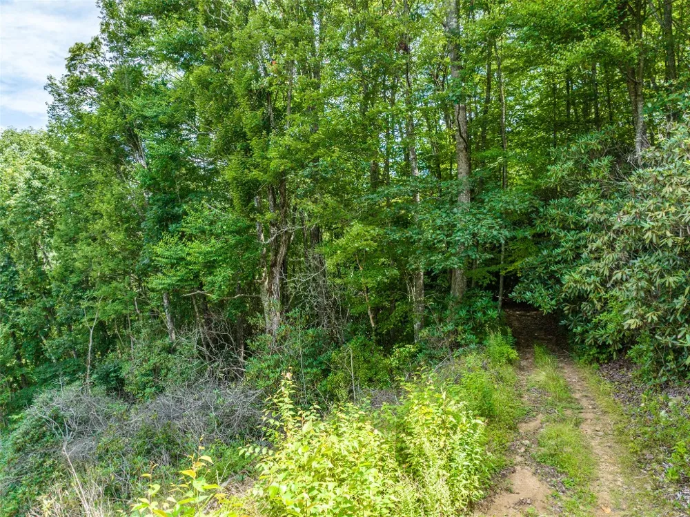 13-15 Tall Cedars Glenville, NC 28736