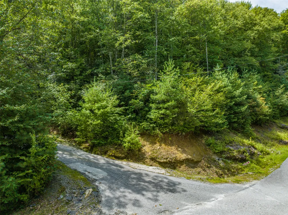 7 Eucalyptus Drive Glenville, NC 28736