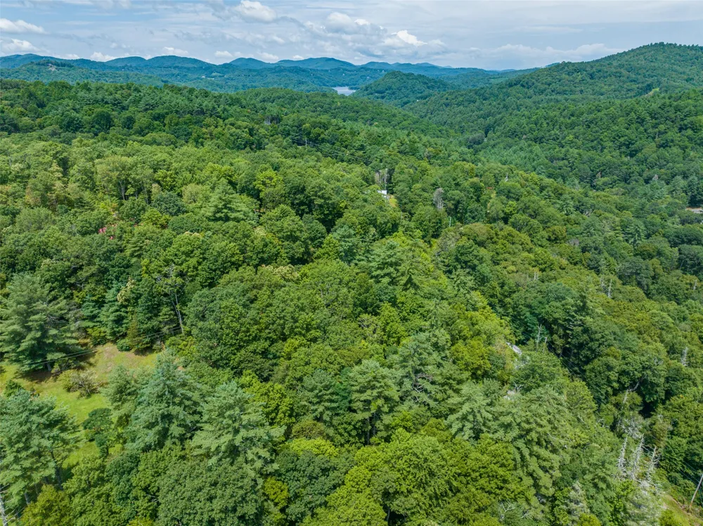 7 Eucalyptus Drive Glenville, NC 28736