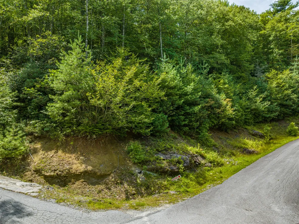 7 Eucalyptus Drive Glenville, NC 28736