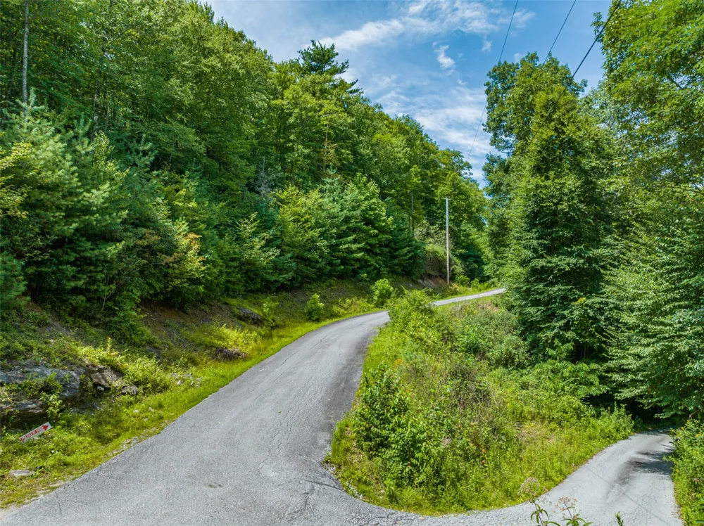 7 Eucalyptus Drive Glenville, NC 28736