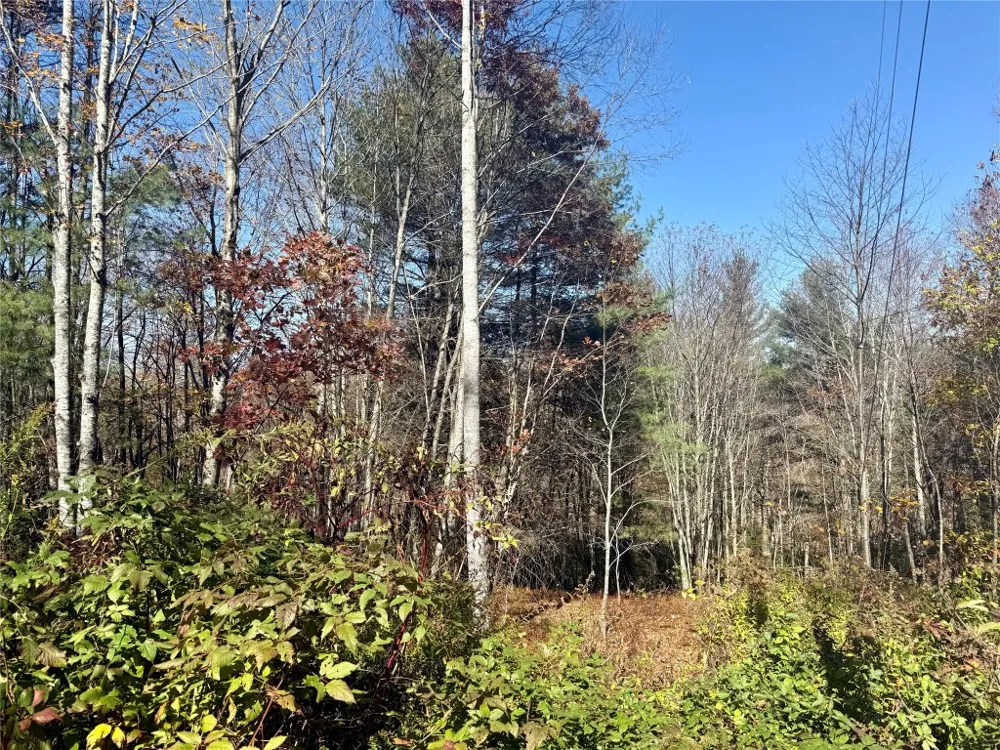 0 STONE CLIFFS LN Cashiers, NC 28717
