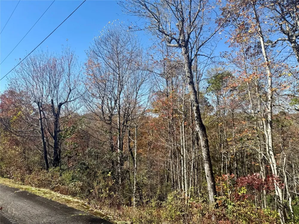 0 STONE CLIFFS LN Cashiers, NC 28717