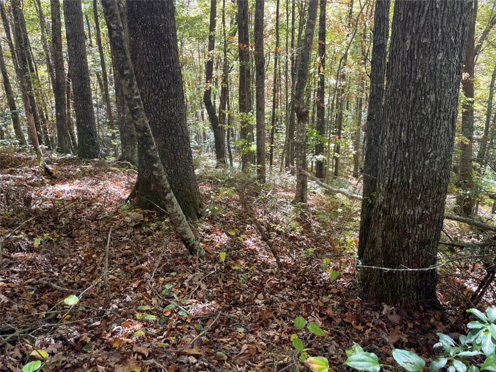 35 Locust Court Sapphire, NC 28774