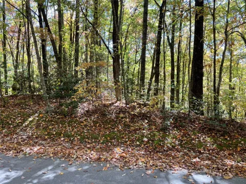 35 Locust Court