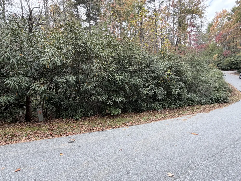 196 Wild Berry Sapphire, NC 28774