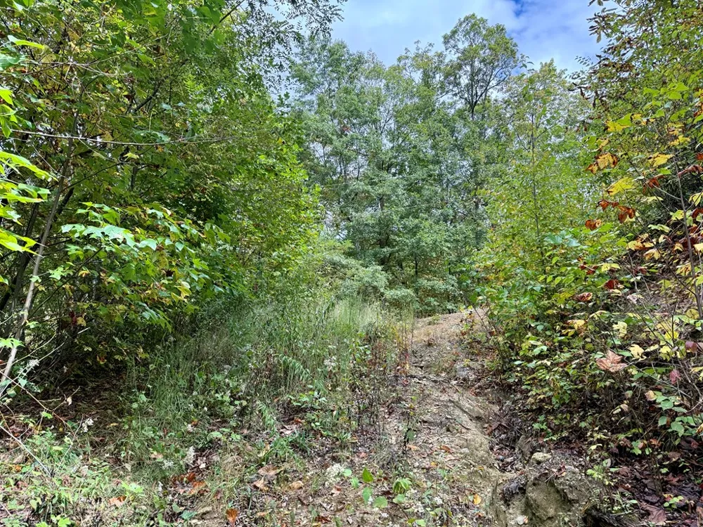 Address Not Shown Glenville, NC 28736